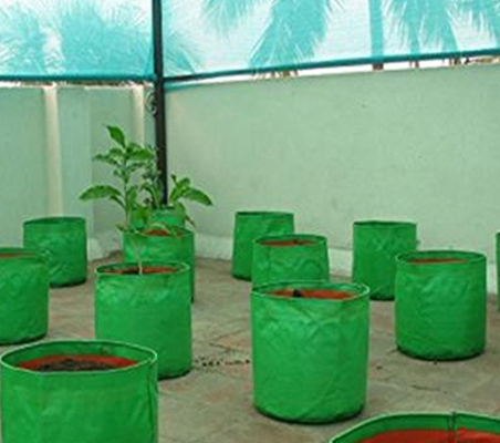 Terrace Plant Garden Consultants in Chennai