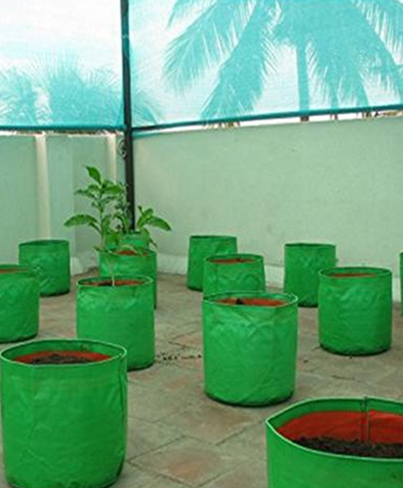 Terrace Plant Garden Consultants in Chennai