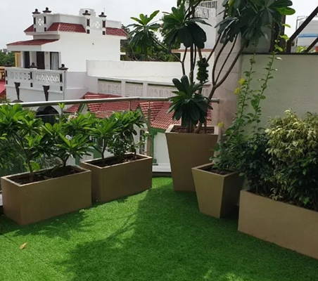House and Terrace Garden in Chennai