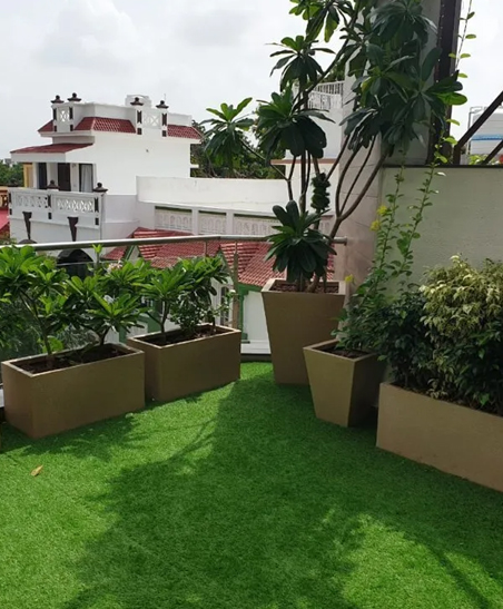 House and Terrace Garden in Chennai