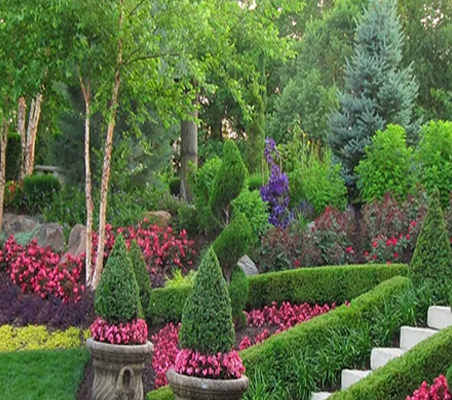 Landscaping Service in Chennai